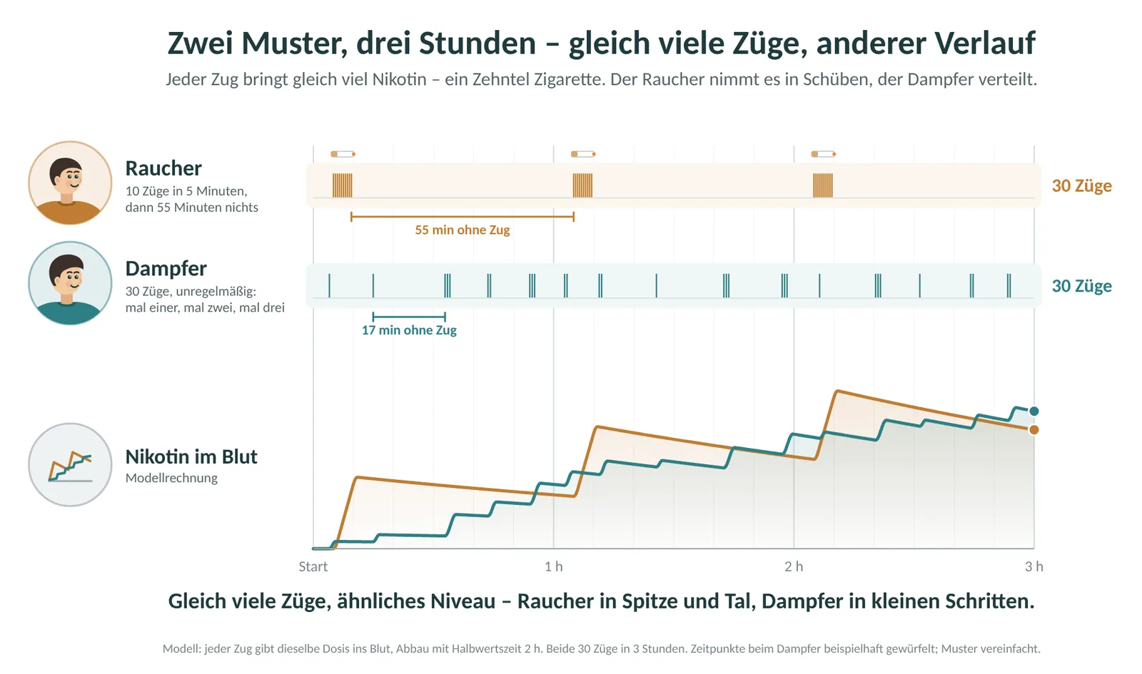 Zwei Muster über drei Stunden mit je 30 Zügen: Der Raucher nimmt das Nikotin in Schüben mit 55 Minuten Pause, der Dampfer verteilt. Ähnliches Niveau im Blut, anderer Verlauf.